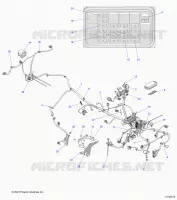 ELETTRICO, MAIN WIRE HARNESS