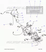 ELETTRICO, HARNESS