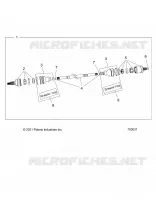DRIVE TRAIN, HALF POSTERIORE ALBERO