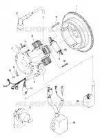 MAGNETO ASSEMBLY (4917731773046A)