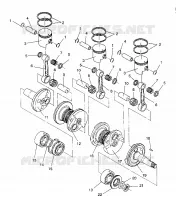PISTONEEE   ALBERO MOTORE RXL / 0930768 AND RXL SKS / 0930568 (4922992299032A)