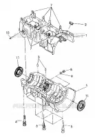 CARTER  440 XCR (4921352135035A)