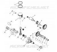 PISTONEEE   ALBERO MOTORE SPORT 400L W948540 (4927232723C009)