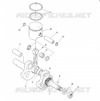 PISTONE AND ALBERO MOTORE STAR (4915431543024A)