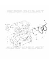 ENGINE, ALBERO MOTORE OIL SEAL FLANGE