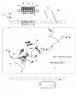ELETTRICO, HARNESS