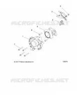 CORPO FARFALLATO AND FUEL RAIL