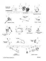 ELETTRICO, SWITCHES, SENSORS AND COMPONENTS