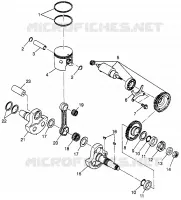PISTONEEE   ALBERO MOTORE XPLORER 400L W97CC38C (4939753975C012)