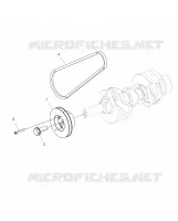 MOTORE, DRIVE PULEGGIA and DRIVE BELT