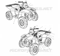 DECALS