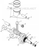 ALBERO MOTORE AND PISTONEE (300) XPRESS 300 W969530 (4935923592D003)