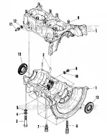 CARTER (SS) (4909540954020A)