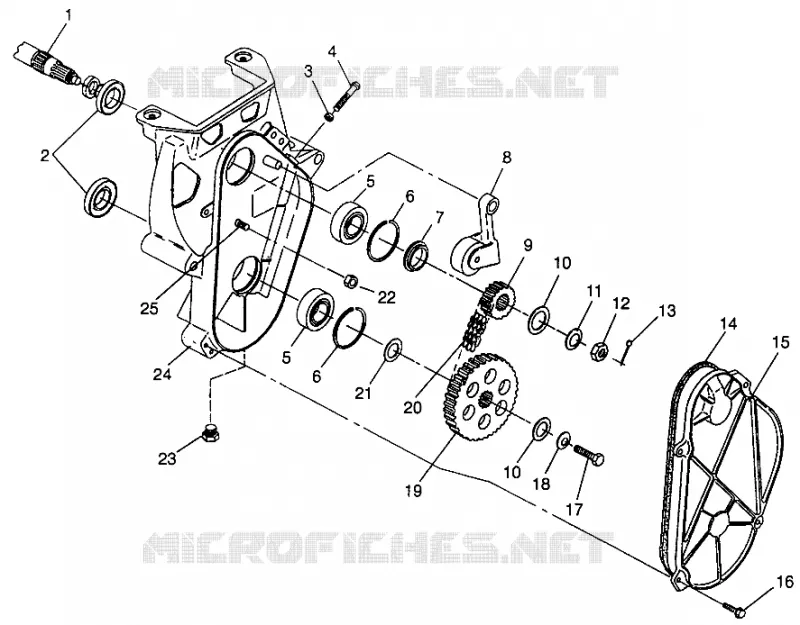 carter della catena XLT LTD SP 0973776 (4940074007B006)