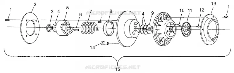FRIZIONE DRIVEN WIDETRAK GT 0972061 and EUROPEAN WIDETRAK GT E972061 (4938173817B014)
