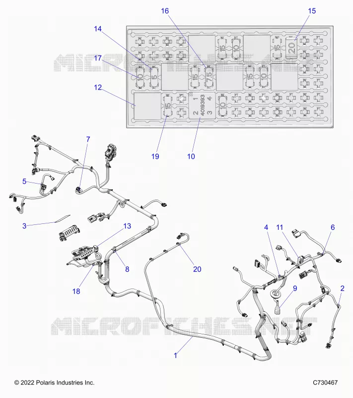 ELETTRICO, WIRE HARNESS