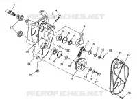 carter della catena XLT LTD 0973756 and EUROPEAN XLT LTD E973756 (4937793779B006)