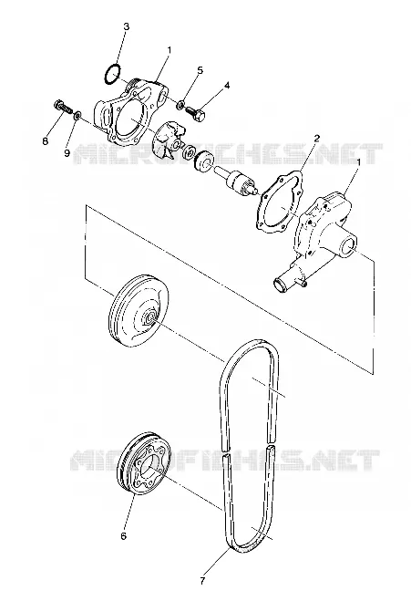 POMPA DELL'ACQUA 500 and 500 Classic (4916791679028A)