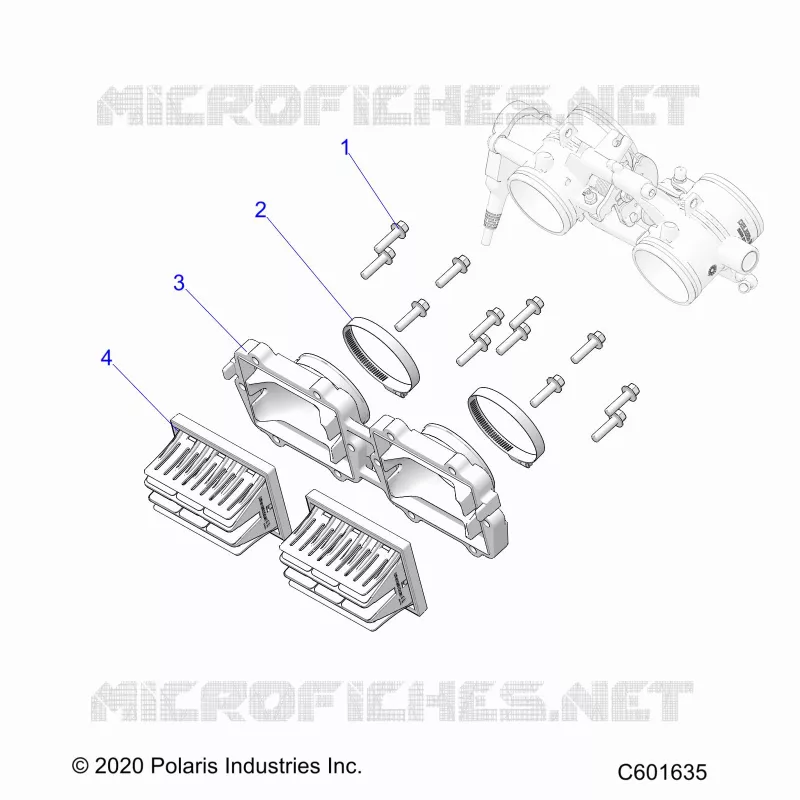ENGINE, REED VALVE AND CORPO FARFALLATO ADAPTOR