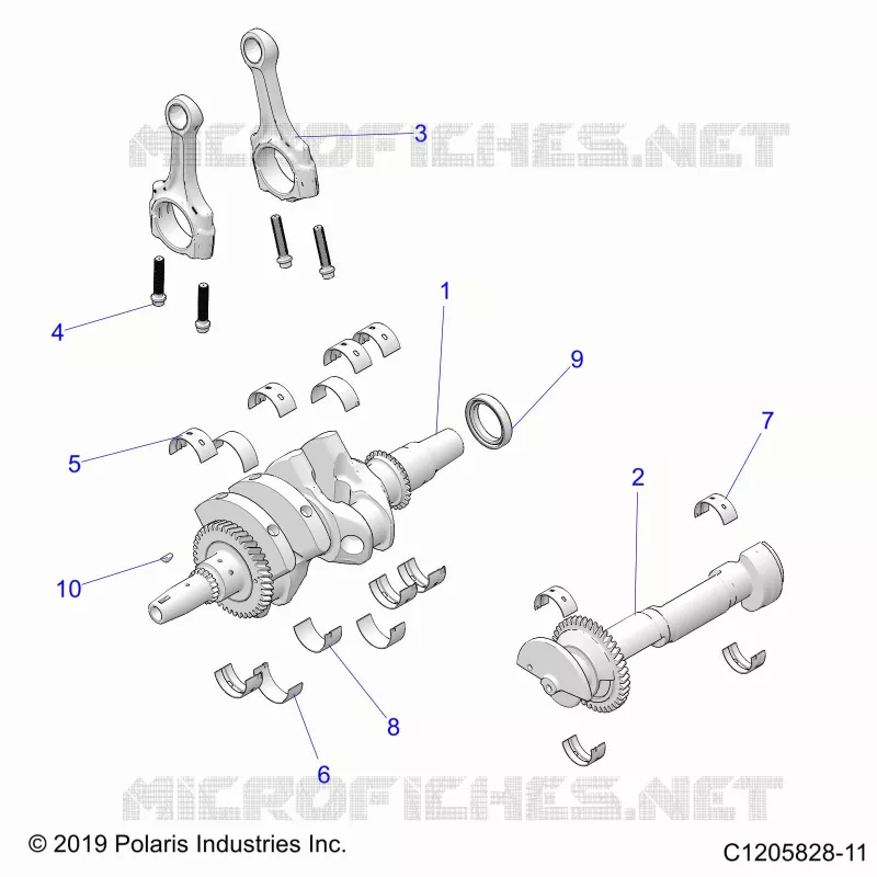 ENGINE, ALBERO MOTORE AND BEARINGS