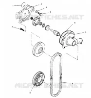 POMPA DELL'ACQUA XLT 0950756, XLT SKS 0950556,  XLT SKS EURO E950556   XLT SKS  P (4928842884C011)