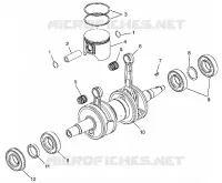 PISTONEEE   ALBERO MOTORE 700 RMK 0980966 AND EUROPEAN 700 RMK E980966 (4943724372C009)
