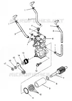 POMPA DELL'OLIO XLT 0970756, XLT SKS 0970556,  and XLT RMK 0970956 (4937693769D005)