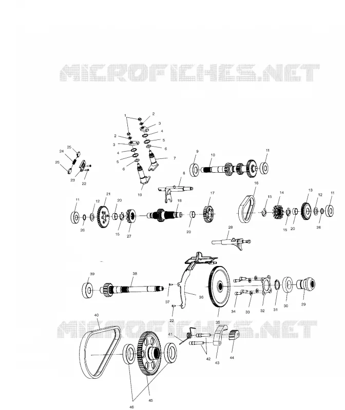 SCATOLA DEGLI INGRANAGGI (Internal Components)
