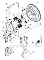 MAGNETO ASSEMBLY TRAIL BOSS W938527 (4924072407031A)