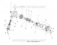 INTERNALS, ANTERIORE HOUSING