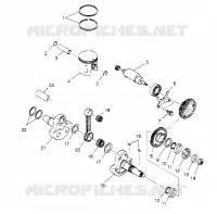 PISTONEEE   ALBERO MOTORE XPLORER 4X4 W959140 (4930223022C014)