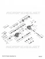 TRASMISSIONE, MAIN GEARCASE INTERNALS