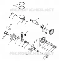 PISTONEEE   ALBERO MOTORE 4X4 350L W938139 (4924052405037A)