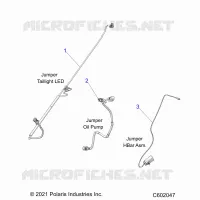 ELETTRICO, JUMPER WIRES