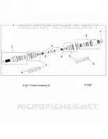DRIVE TRAIN, POSTERIORE ALBERO