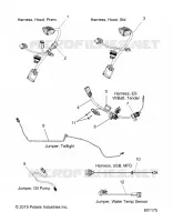 ELECTRICAL, JUMPERS/CABLAGGIO