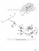 ELETTRICO, HARNESS