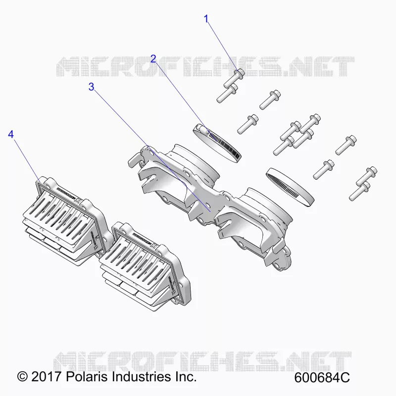 ENGINE, REED VALVE AND CORPO FARFALLATO ADAPTOR