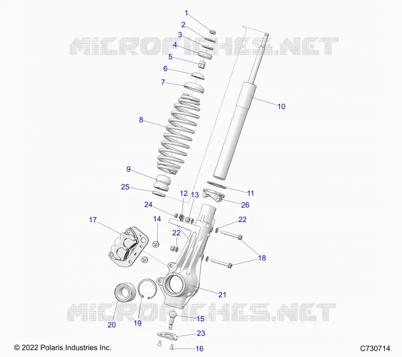 SUSPENSION, ANTERIORE MONTANTE