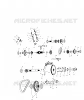 SCATOLA DEGLI INGRANAGGI (Internal Components)