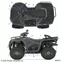 DECALSS, GRAPHIC