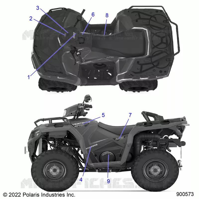 DECALSS, GRAPHIC