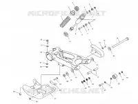 SWING ARM AND AMMORTIZZATORE POSTERIORE