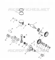 PISTONEEE   ALBERO MOTORE SPORTSMAN 4X4 W958040 (4930403040D001)