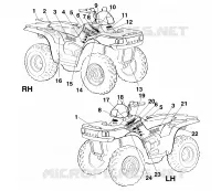 DECALS