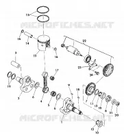ALBERO MOTORE AND PISTONEE 350 2X4 / W927539 (4922882288032A)