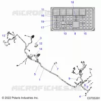 ELETTRICO, WIRE HARNESS