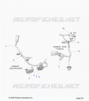 ELETTRICO, WIRE HARNESS, HOOD, ELECTRIC START