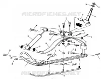 SCIARE (4910961096006A)