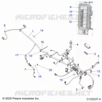 ELETTRICO, HARNESS